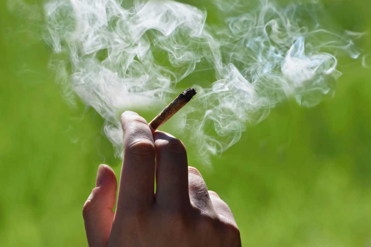 Marijuana joint in the hand, drugs concept for 4/20