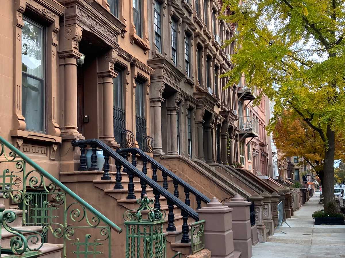 Side view of a row of elegant Harlem brownstone homes and their colorful stoops next to a sidewalk with a ginkgo tree with changing leaves on a fall day in New York City