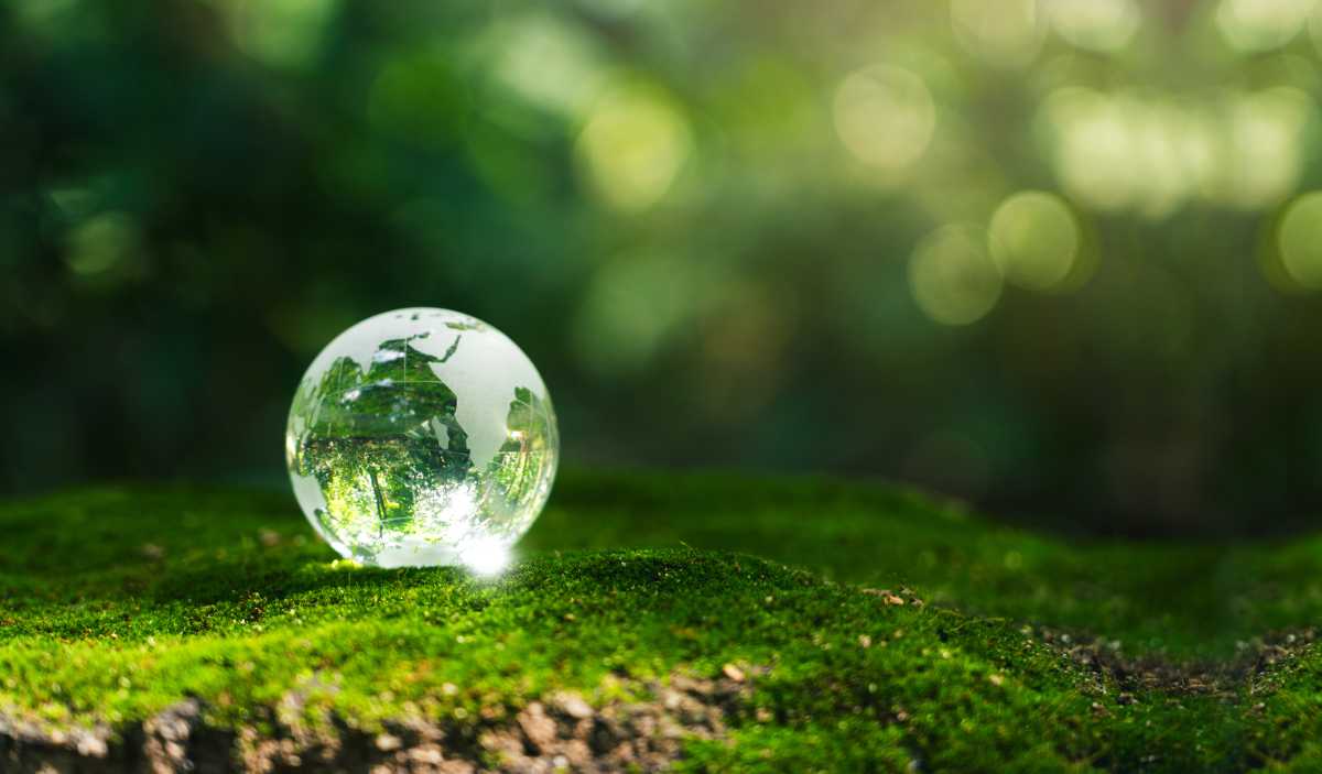 Crystal earth in forest Environment, save world, earth day and conservation and renewable energy concept.