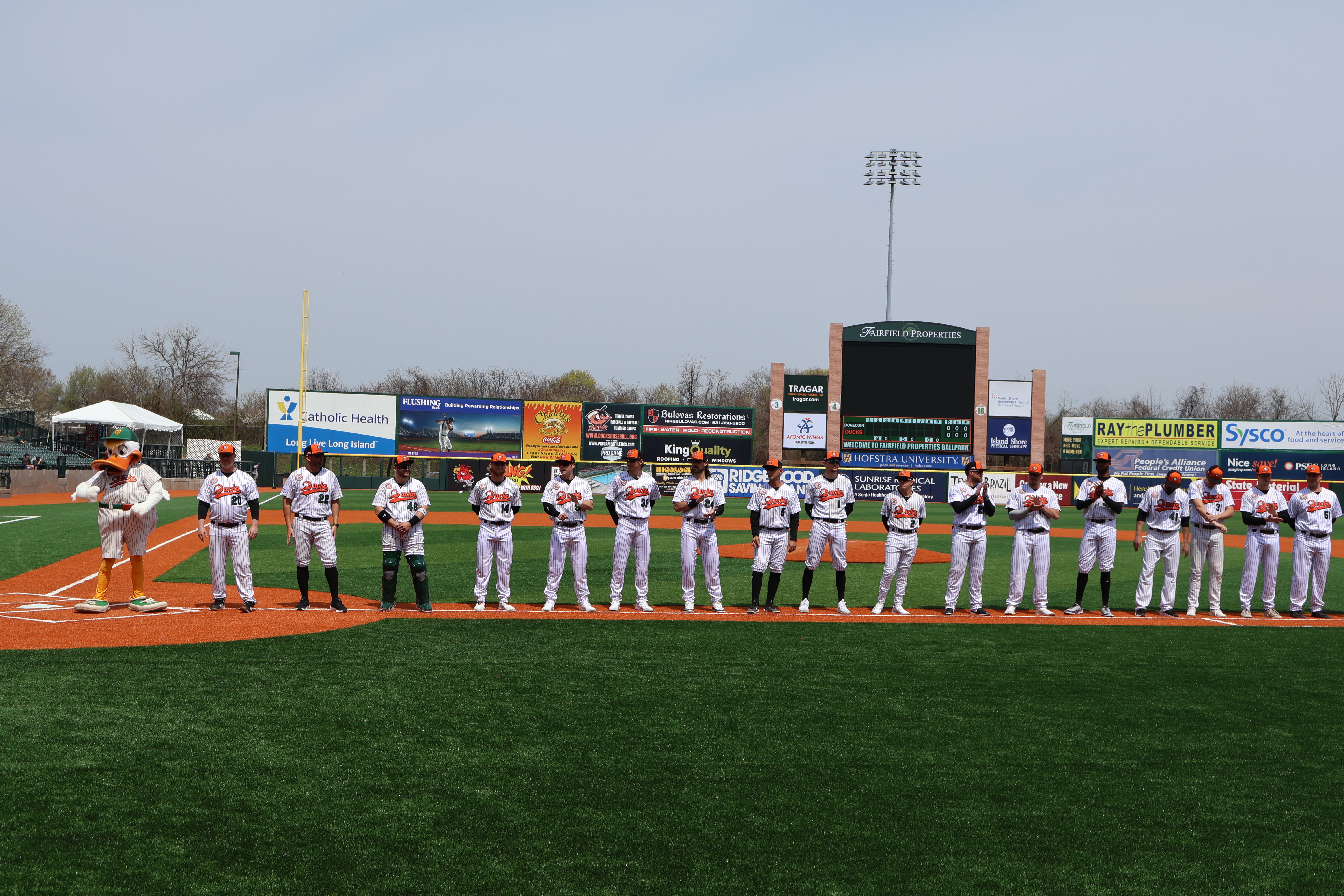Long Island Ducks