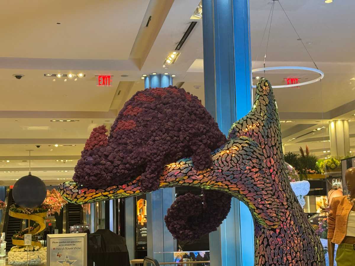 A flower display shaped like a chameleon