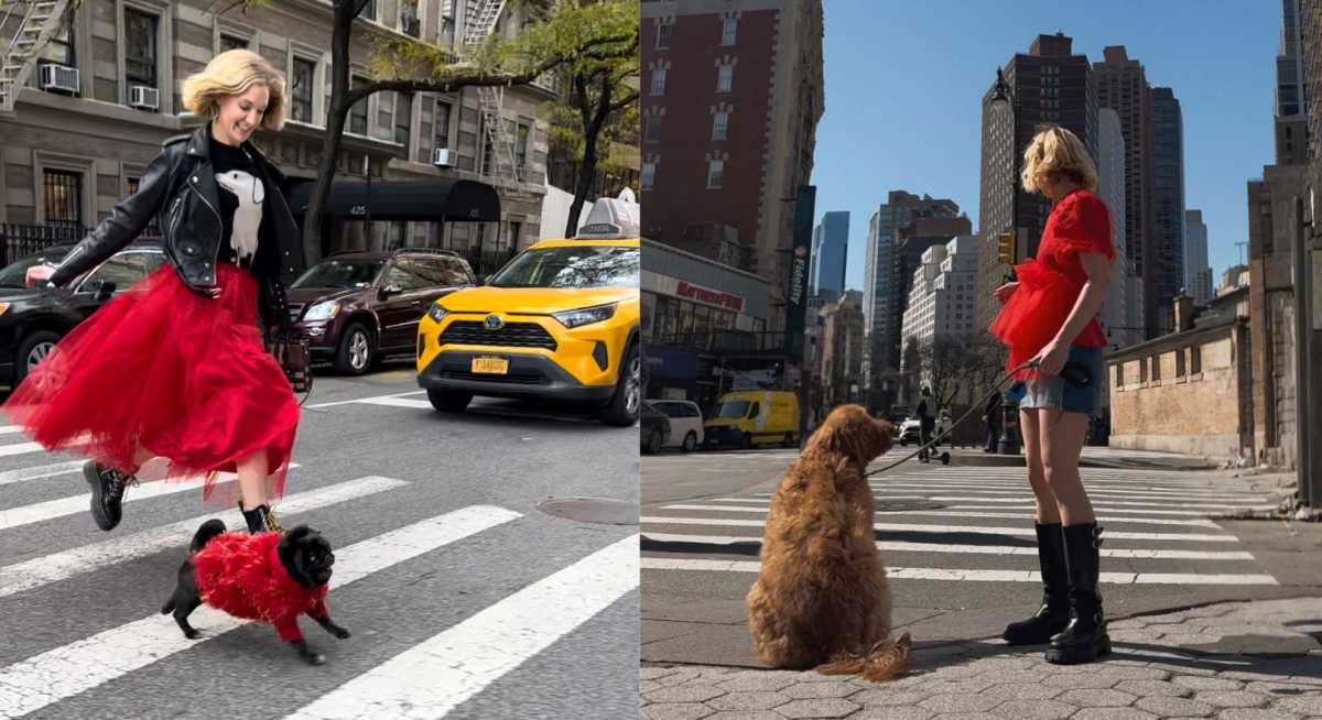 Fern Watt in NYC with a pug (left) and a golden retriever