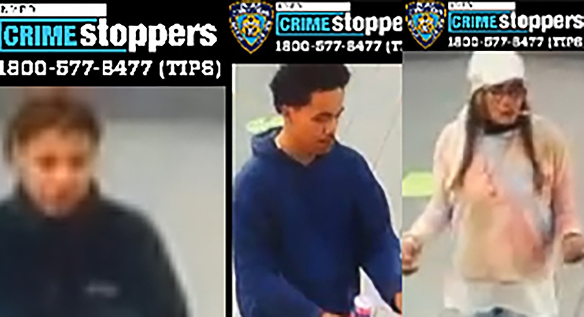 Bronx group sought for stabbing dog owner