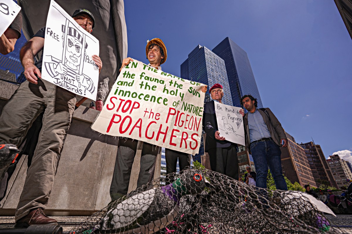 Lovers of pigeons protest poaching