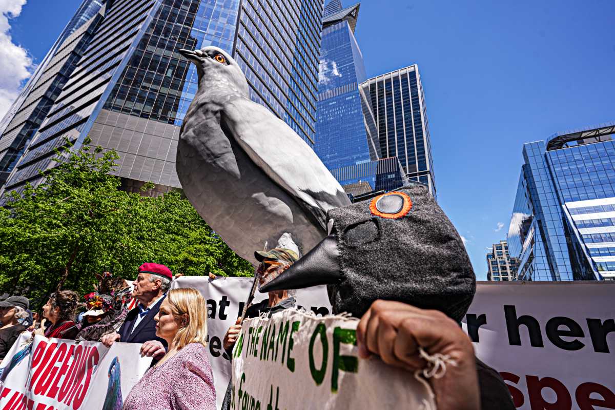 Lovers of pigeons protest poaching