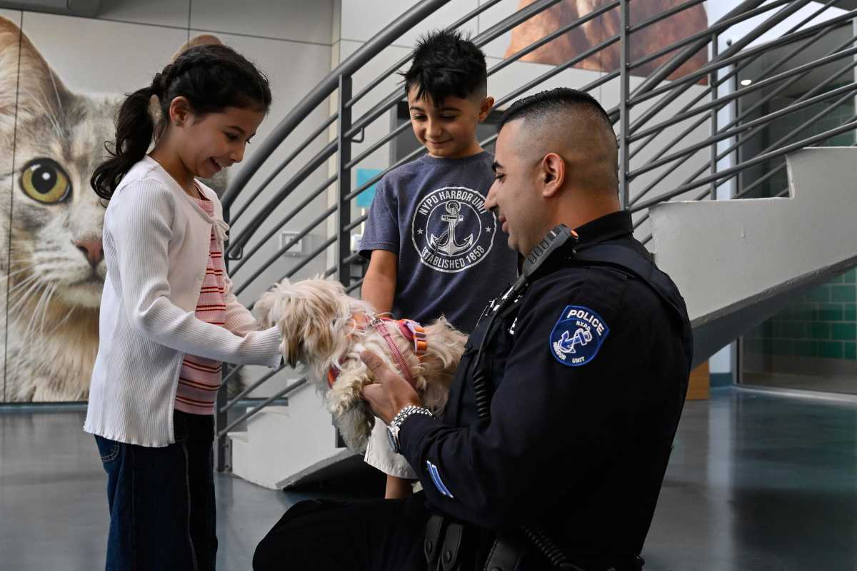 NYPD cop who saved dog from cold waters of East River adopts pup to 'bring my baby home' 3