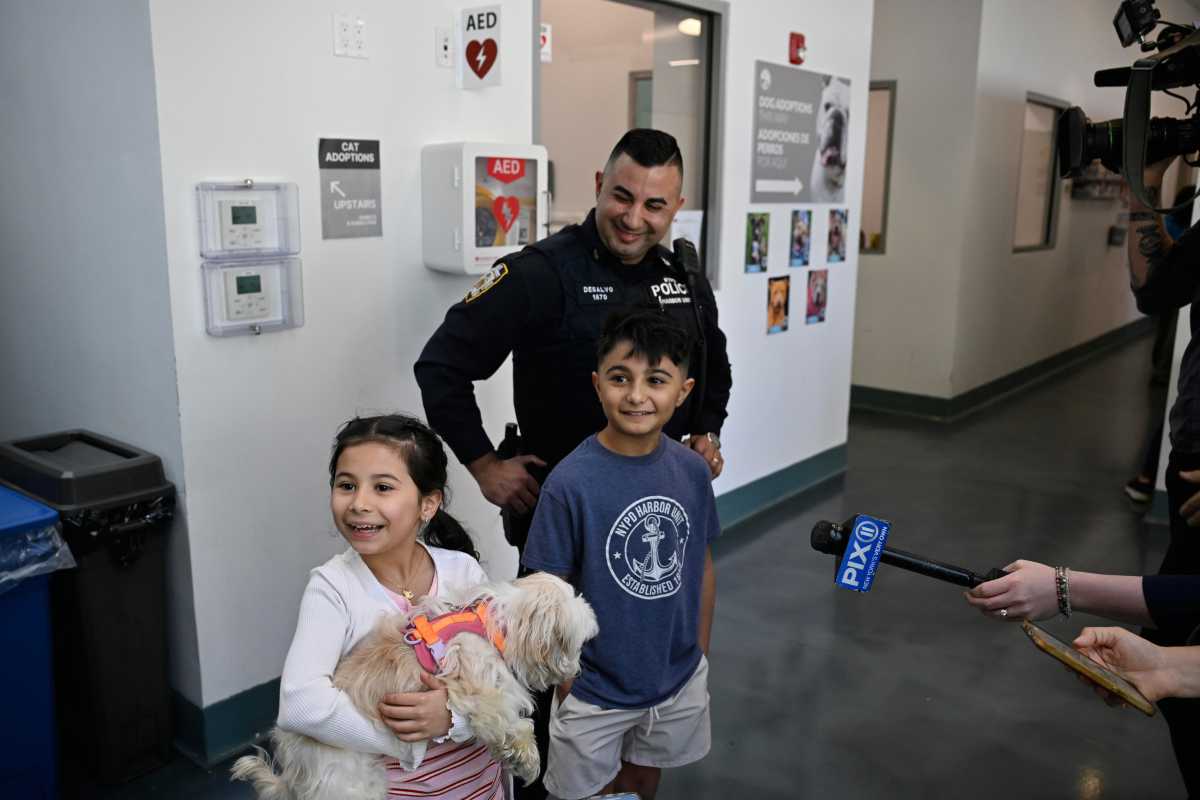 NYPD cop who saved dog from cold waters of East River adopts pup to 'bring my baby home' 4