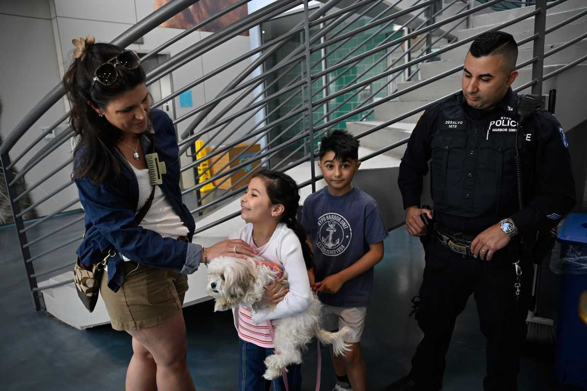 NYPD cop who saved dog from cold waters of East River adopts pup to 'bring my baby home' 5