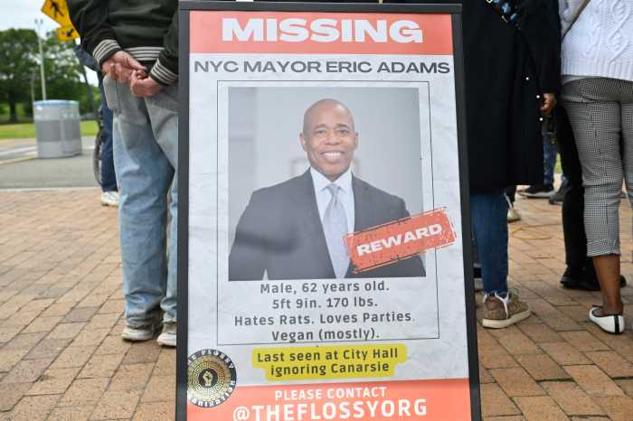 Brooklyn residents rally for a ferry dock in a 'transportation desert' neighborhood 3 outdoor sign