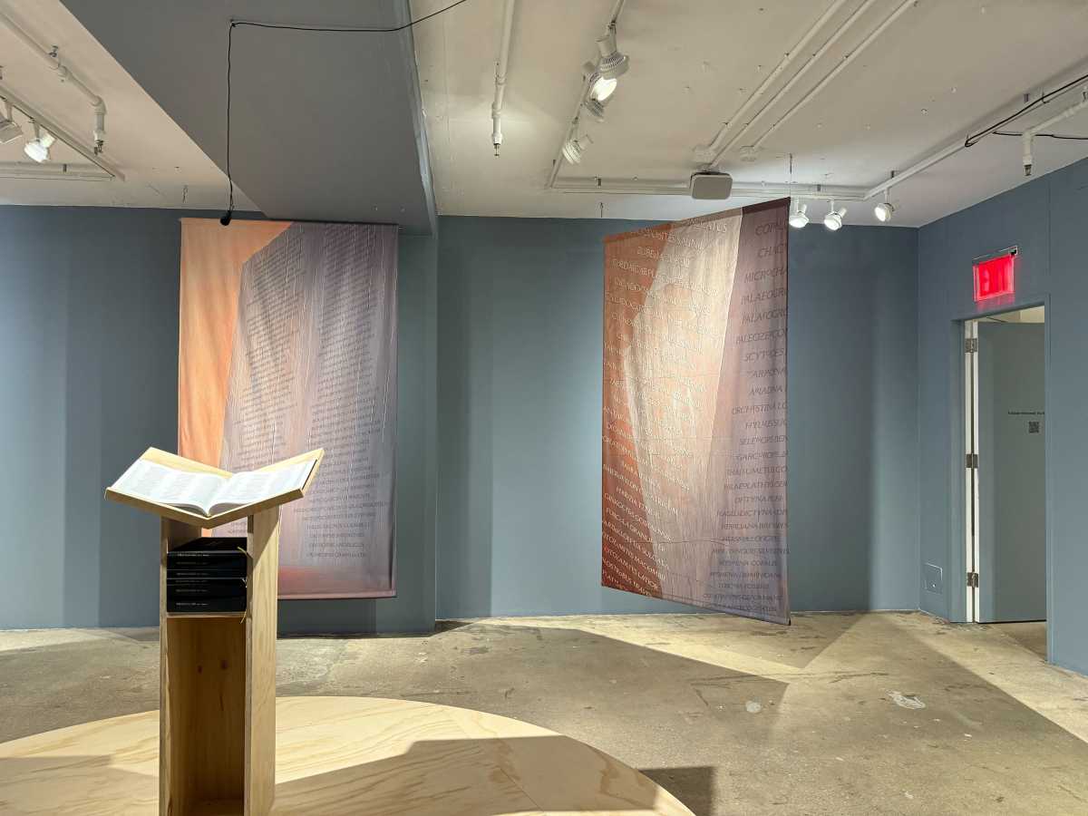 An exhibit in the Swiss Institute.