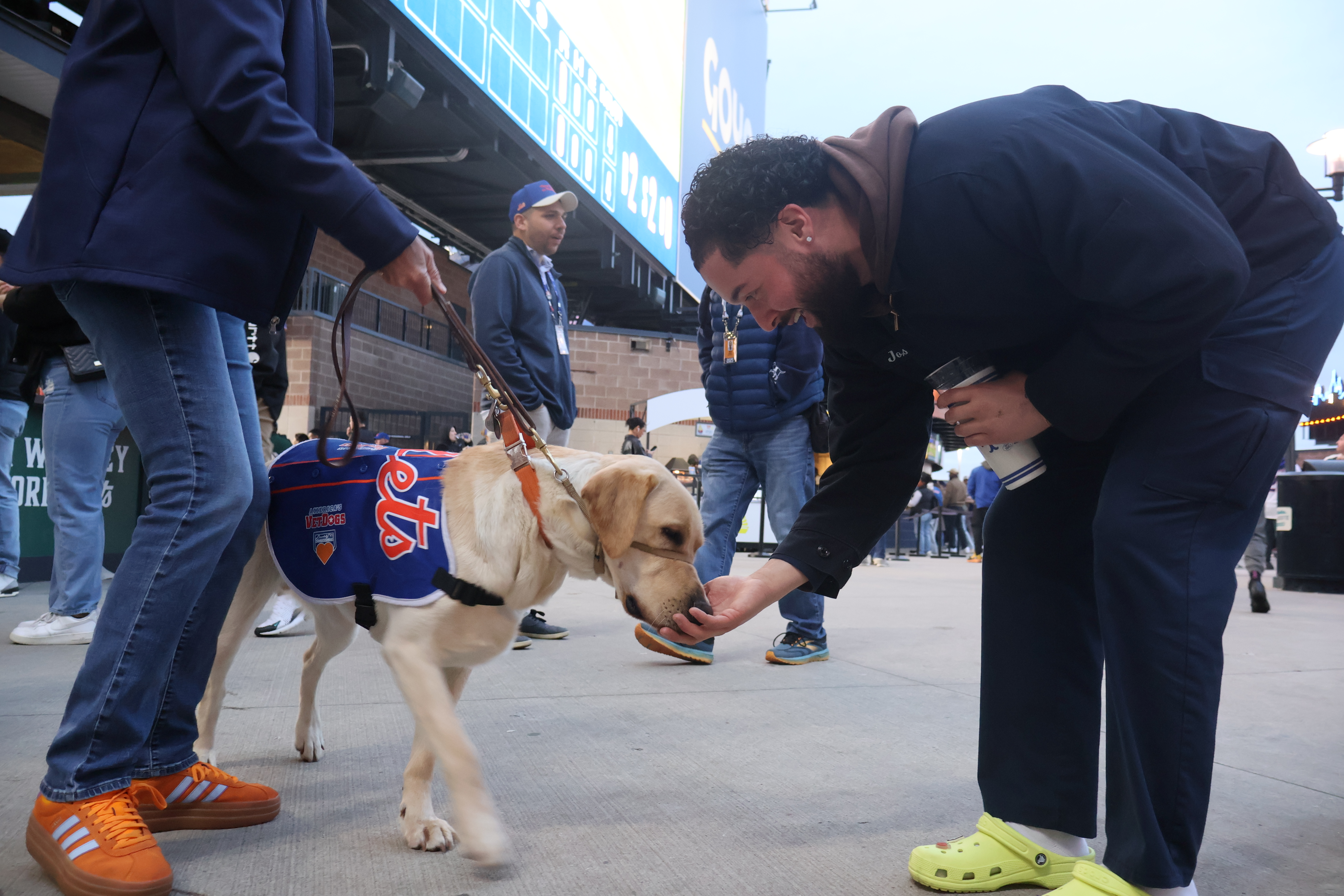 Buddy Mets VetDog