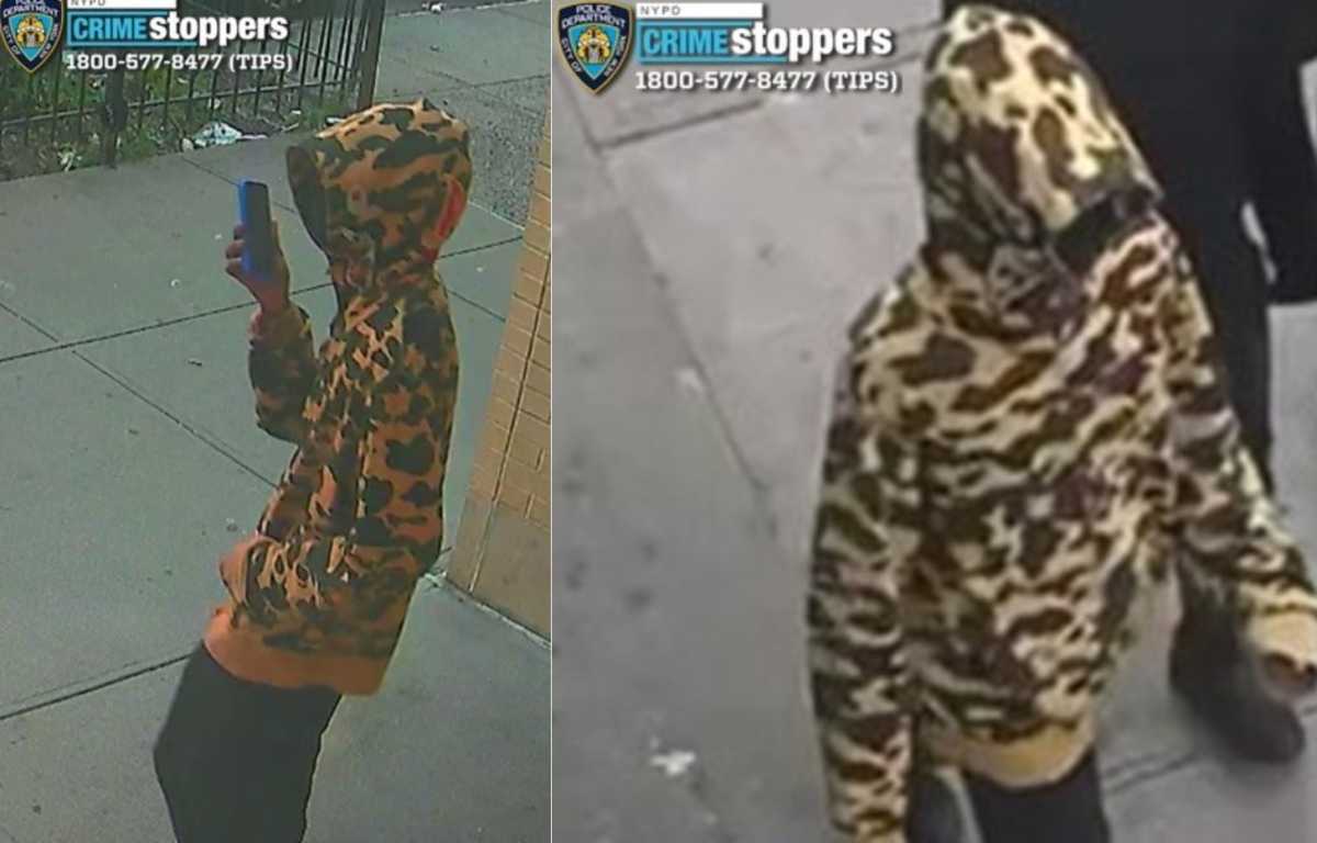 Suspect in Bronx stray bullet shooting