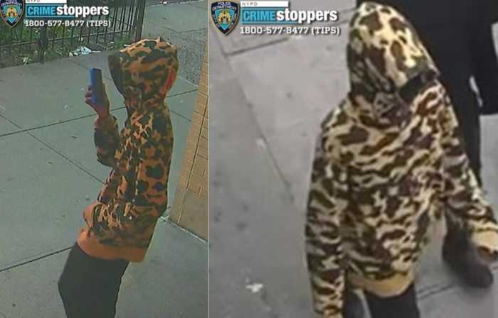 Suspect in Bronx stray bullet shooting