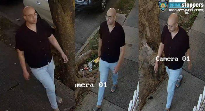 Queens child predator at large