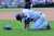 Kodai Senga Mets injury