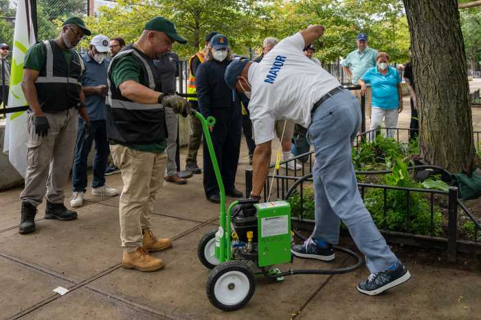 NYC teams expand war on rats with deadly gas strategy in street tree beds 3 people on a NYC sidewalk next to a tree