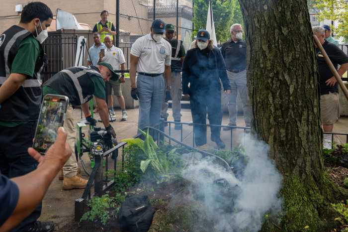 NYC teams expand war on rats with deadly gas strategy in street tree beds 2 people surround a tree bed in NYC on the sidewalk