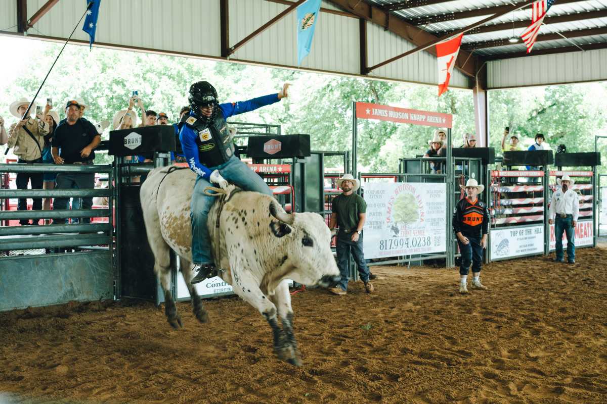 a bull rider for the New York Mavericks rides a bull in a practice pen