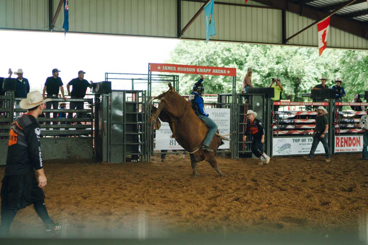 a bull rider for the New York Mavericks rides a bull in a practice pen