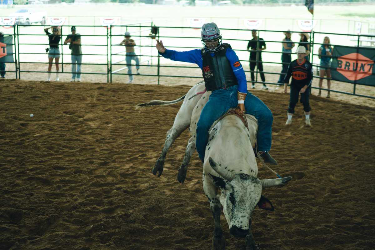 a bull rider for the New York Mavericks rides a bull in a practice pen