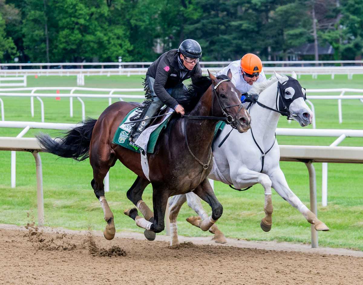 Kentucky Derby champion Sovereignty running with horse over dirt track ahead of Belmont Stakes