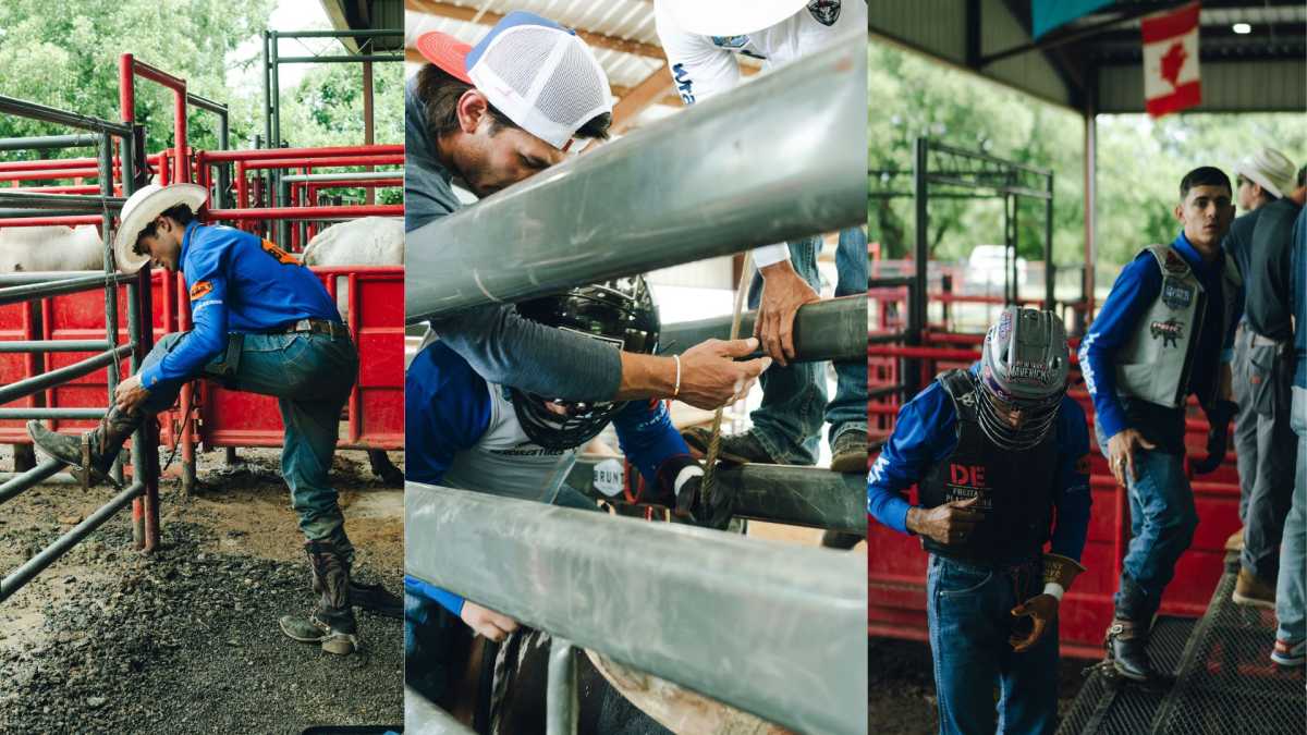 New York Mavericks gear up for a new season of professional bull riding at UBS Arena 6