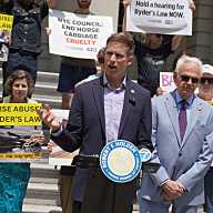 Horse carriages: Animal advocates rally at City Hall to end industry after 'not guilty' verdict in horse abuse case 24 group of people holding signs on building steps in support of Ryder's Law
