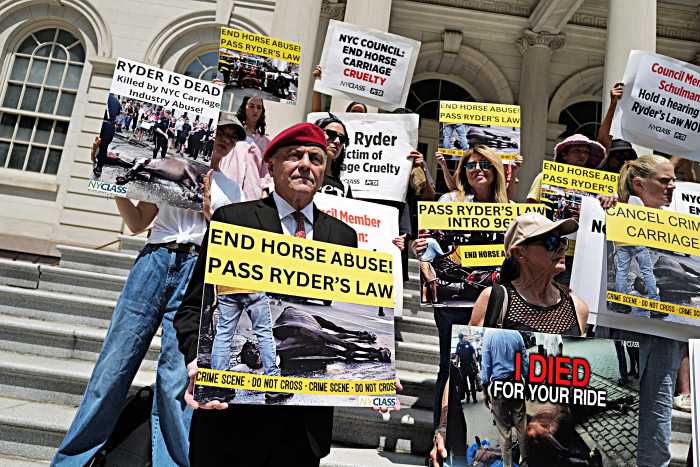 Horse carriages: Animal advocates rally at City Hall to end industry after 'not guilty' verdict in horse abuse case 2 group of people holding signs on steps of a building