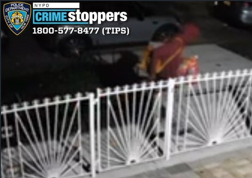 Forensic test pending as NYPD hunts psycho who set fire to dog in Queens 2