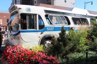 a vintage NYC bus at a bus festival in Brooklyn surrounded by flowers and plants