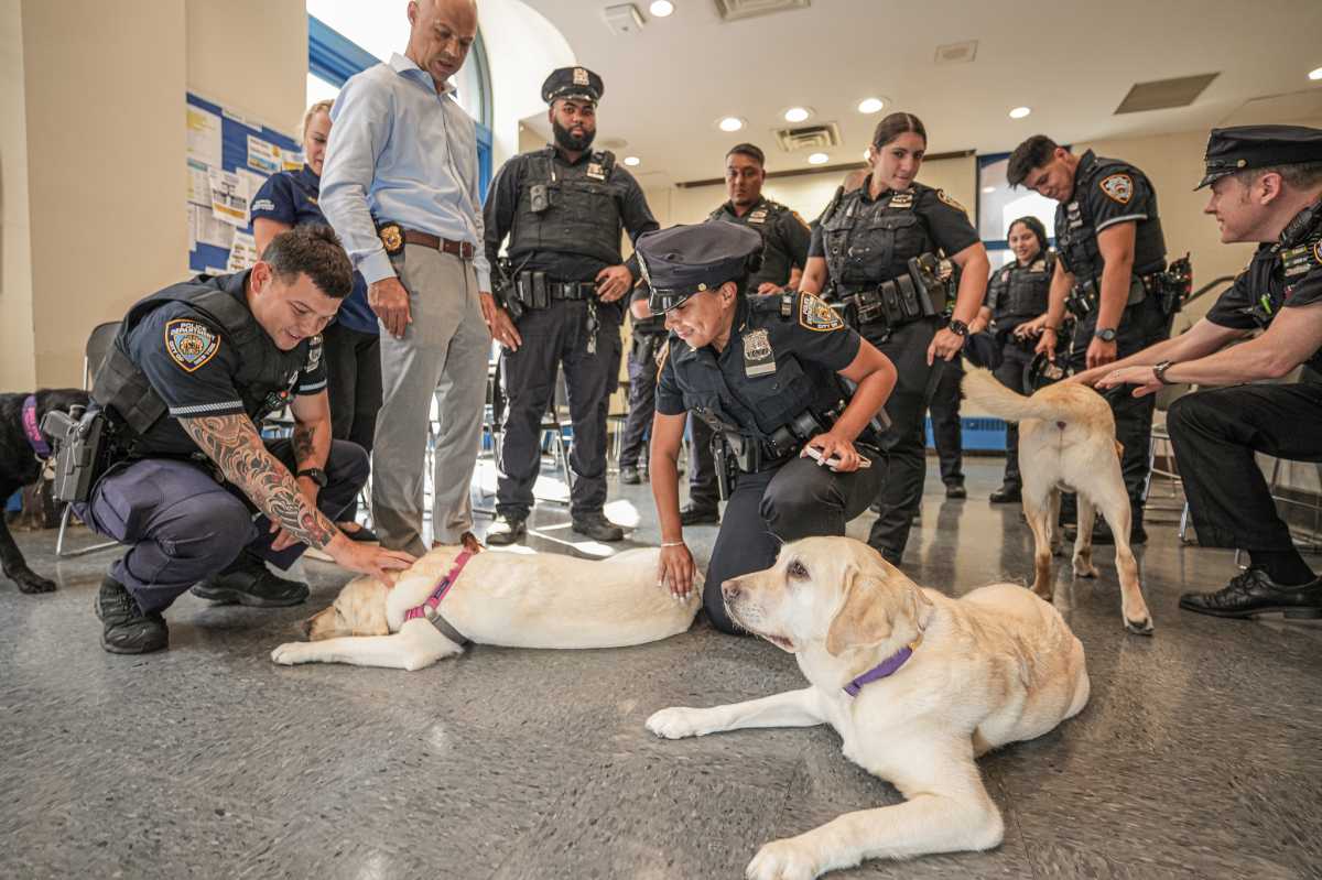 police officers play with therapy dogs in wake of midtown mass shooting