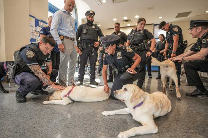police officers play with therapy dogs in wake of midtown mass shooting