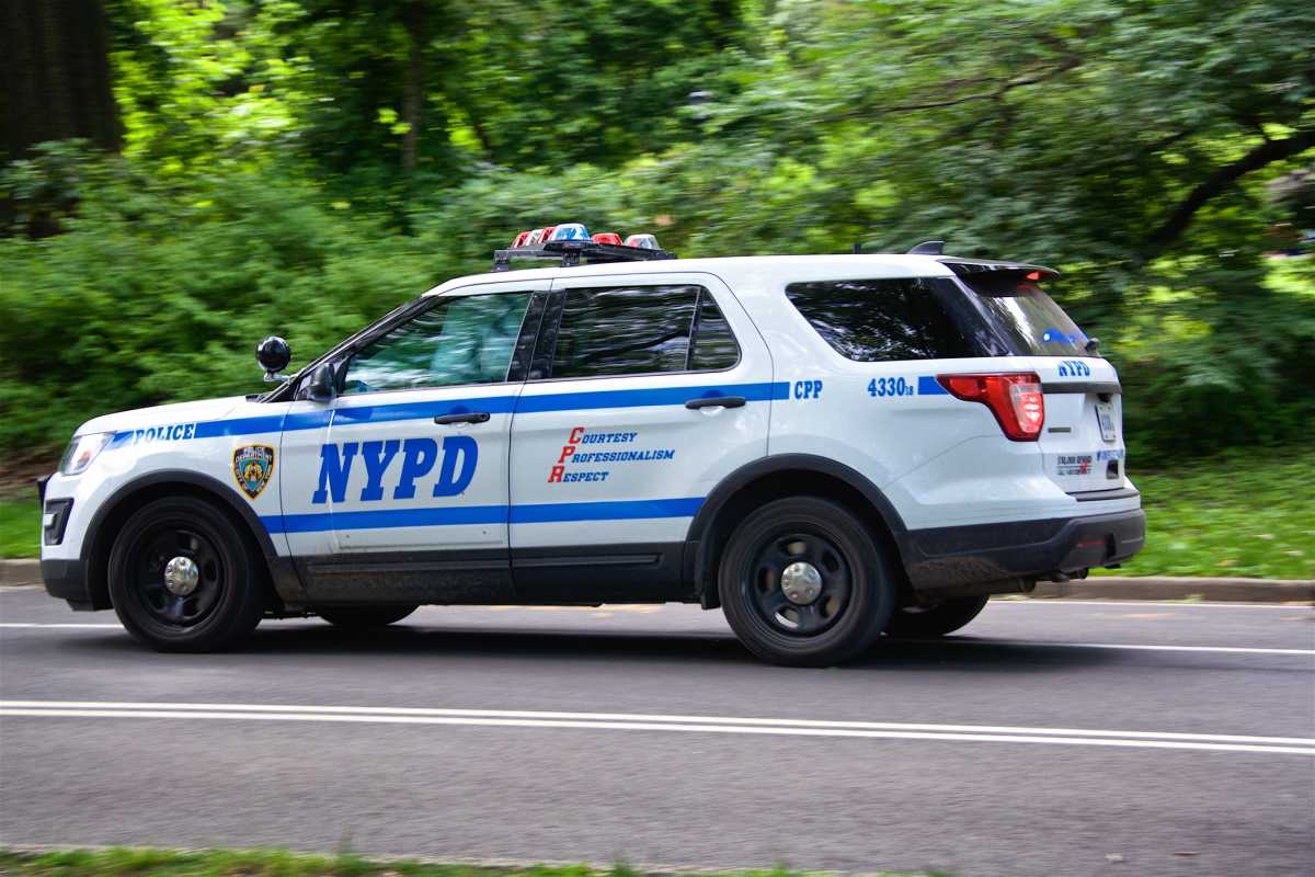 David Luciano, 27, was arrested after police said he attacked two men in Central Park in the early hours of Monday morning.