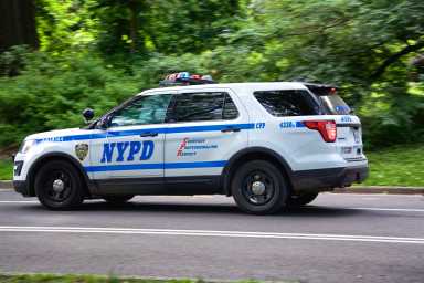 David Luciano, 27, was arrested after police said he attacked two men in Central Park in the early hours of Monday morning.
