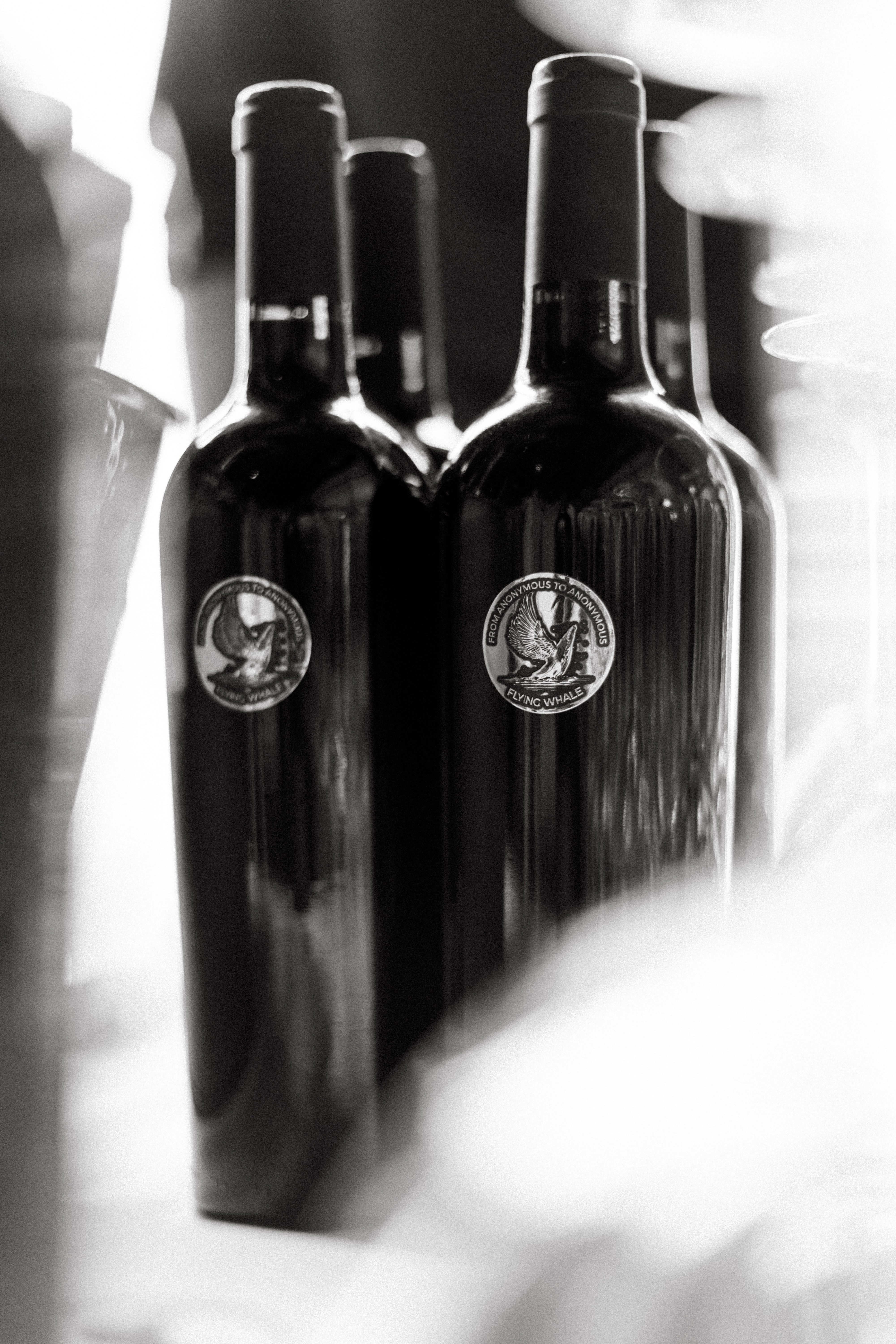 The night the whale sang: Flying Whale Wine, velvet truths, and a ritual worth remembering 3