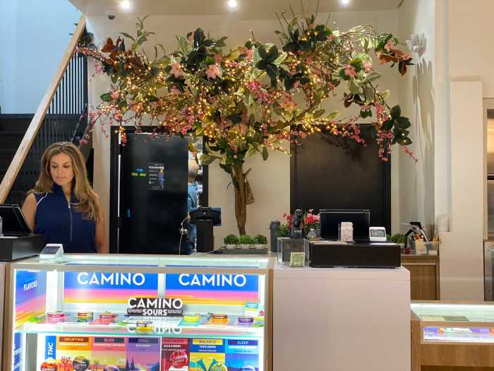 Stephanie Savocchi, co-founder of Alto dispensary, works behind the counter at the family-run cannabis shop in Tribeca on Aug. 1. The business is among dozens statewide impacted by a state zoning miscalculation now under legislative review.