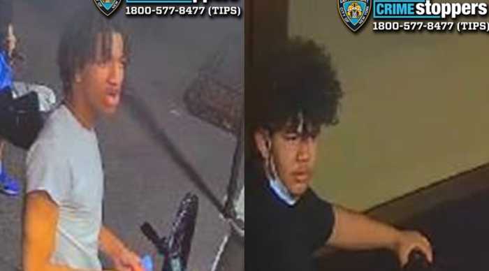 Police released surveillance images of two suspects wanted in connection with separate purse snatchings in Manhattan on Aug. 3