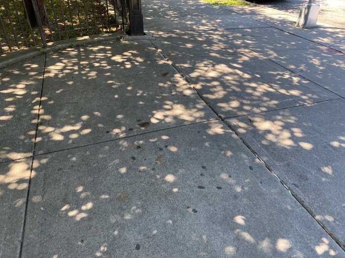 Piles of aggravation: New Yorkers are fed up with increasing dog waste on city sidewalks and streets 2 pile of dog waste smeared into a NYC sidewalk