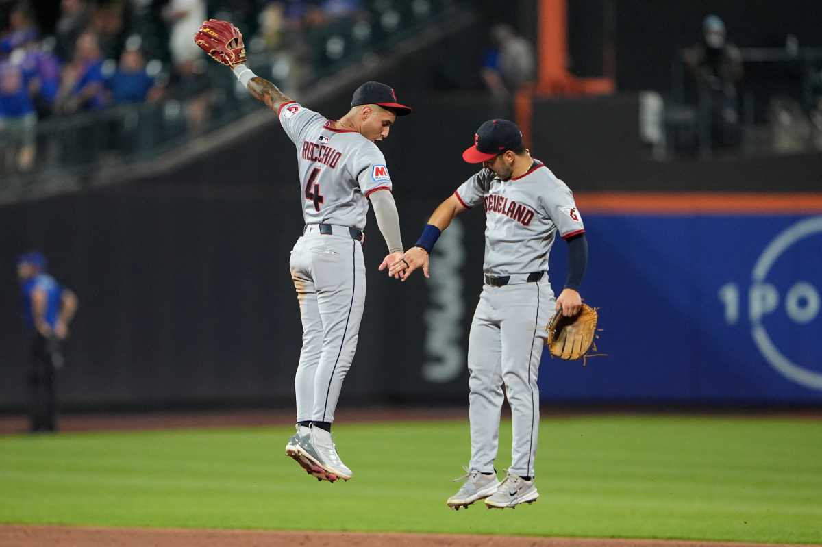 Mets Guardians