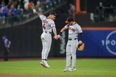Mets Guardians