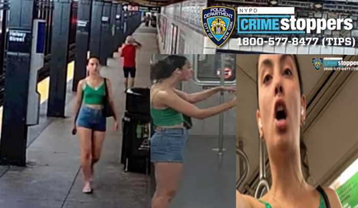 woman with long legs sought for pepper spray attack at subway station in Queens