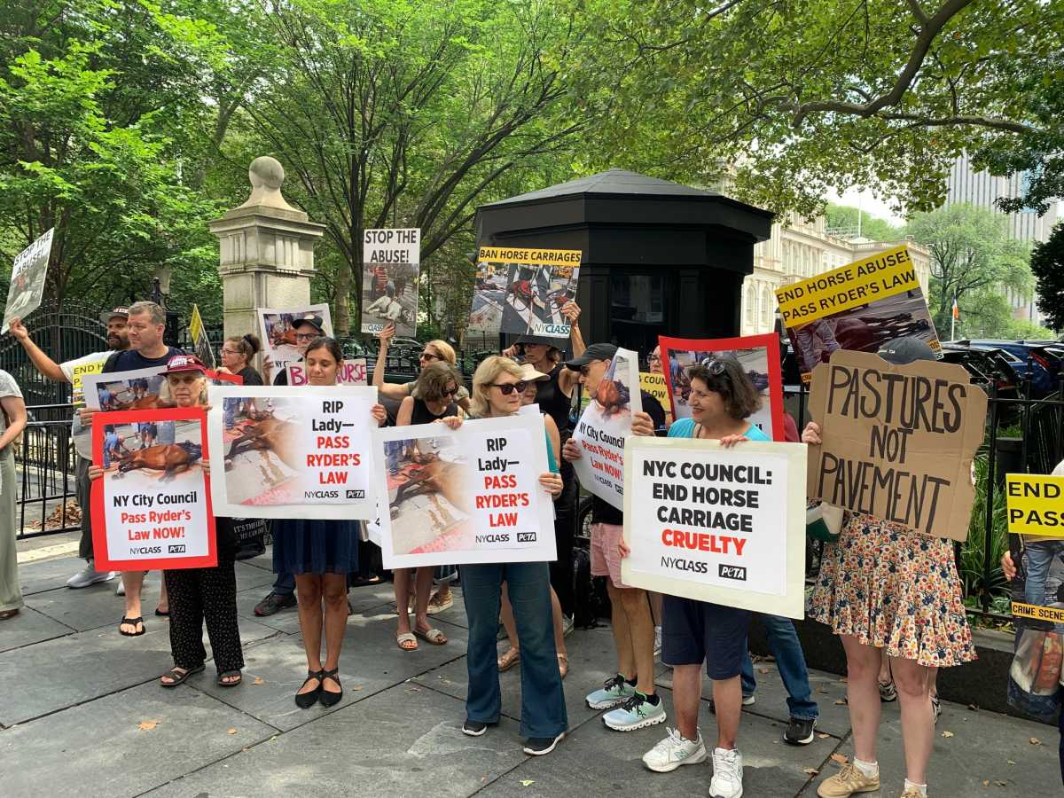 Push to ban NYC carriage horse industry continues with City Hall rally days after equine's death | amNewYork