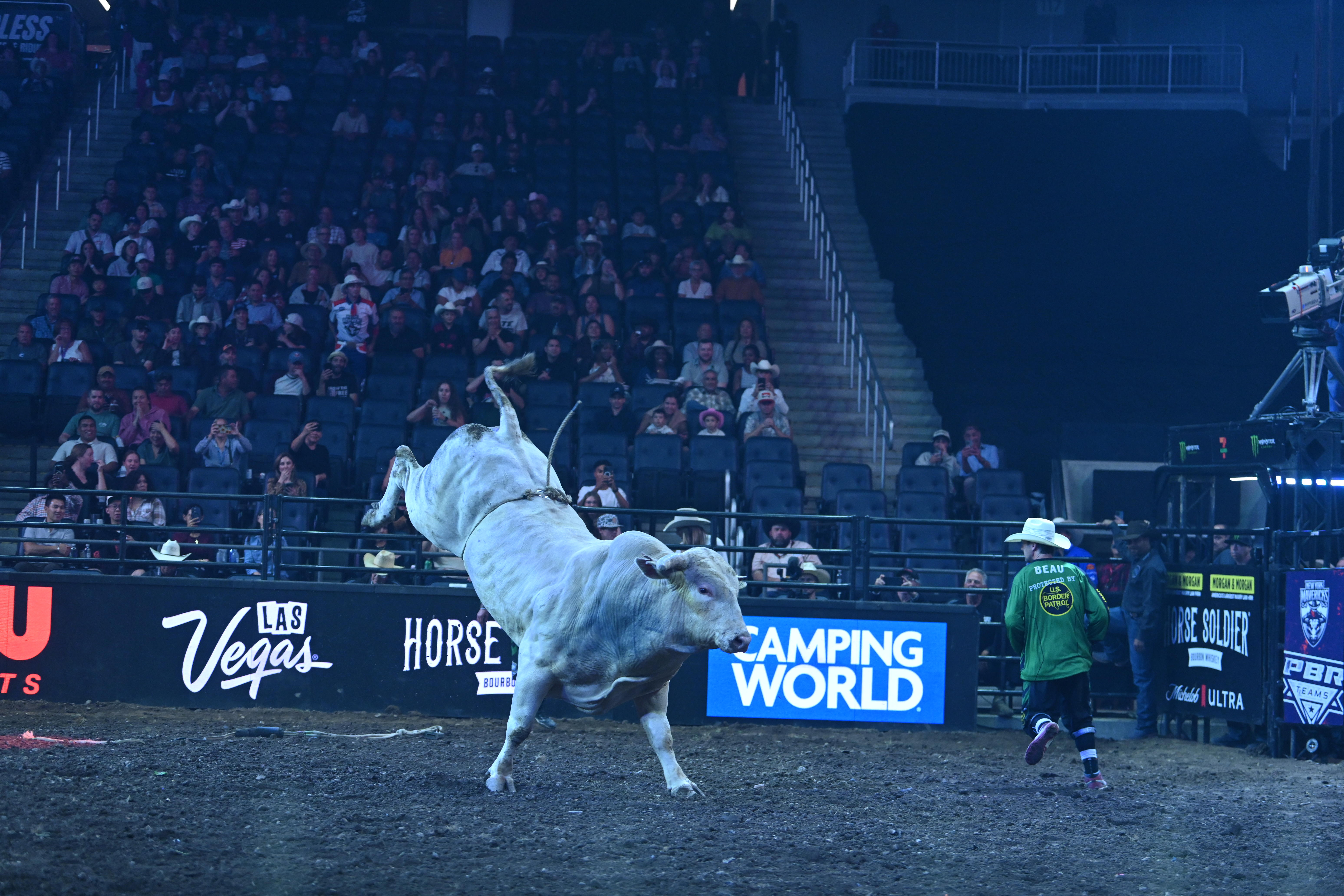 New York Mavericks bring three days of pro bull riding back to New York at UBS Arena 4 a bull