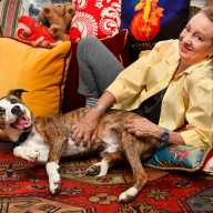 Living legacy: Jamie Bernstein, daughter of the Maestro, becomes the Village’s unofficial tour guide 15 Jamie Bernstein at home lying down while petting her pet dog