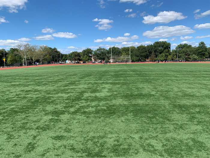 a field in a park during the day