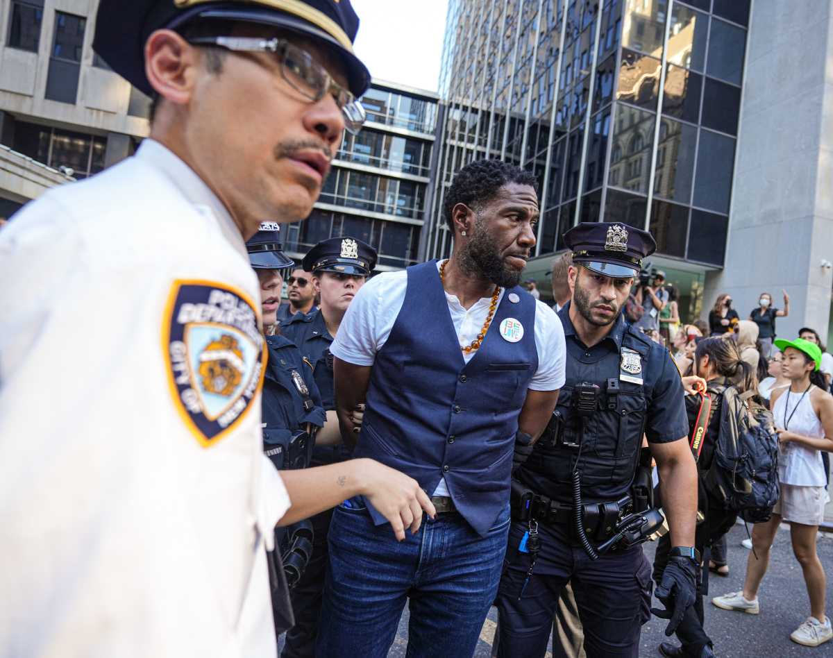 Brad Lander, Jumaane Williams and 13 other NYC elected officials arrested by feds at immigration court sit-in 4