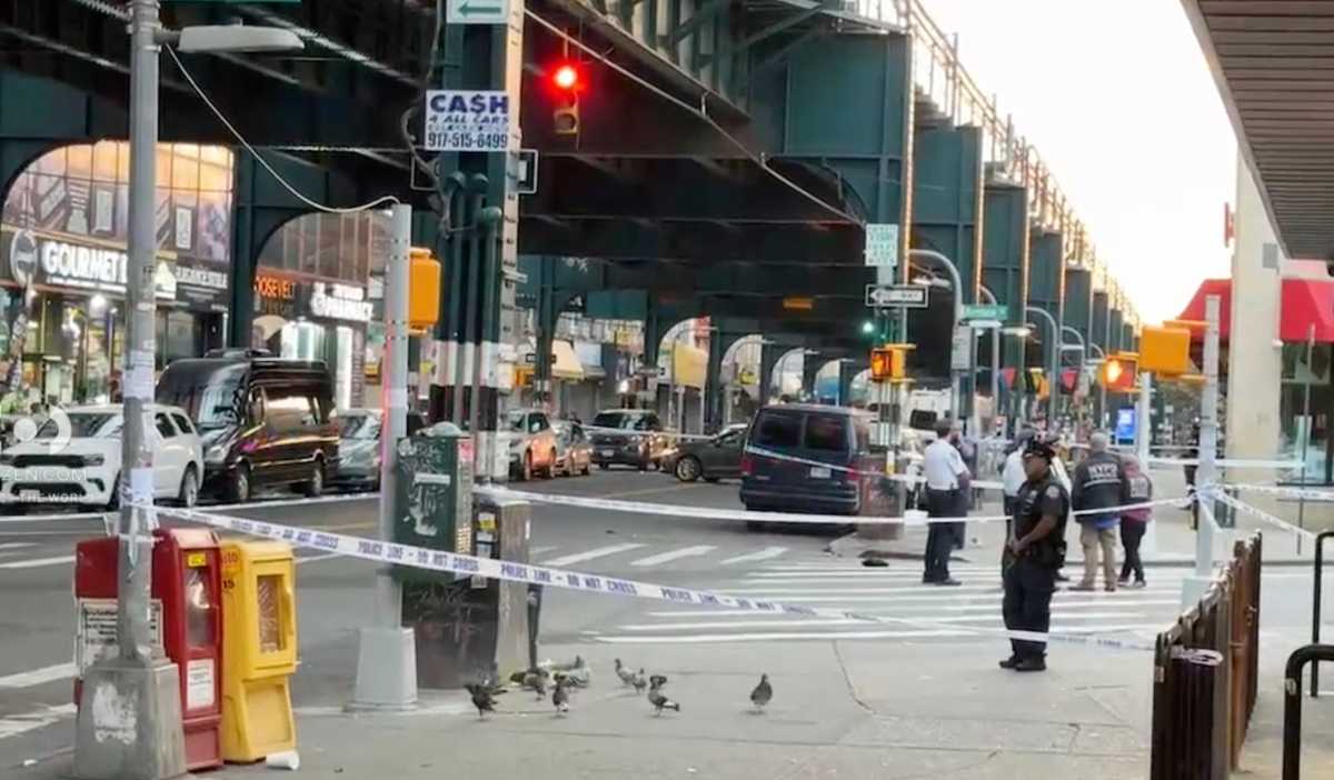 police investigate deadly queens hit and run