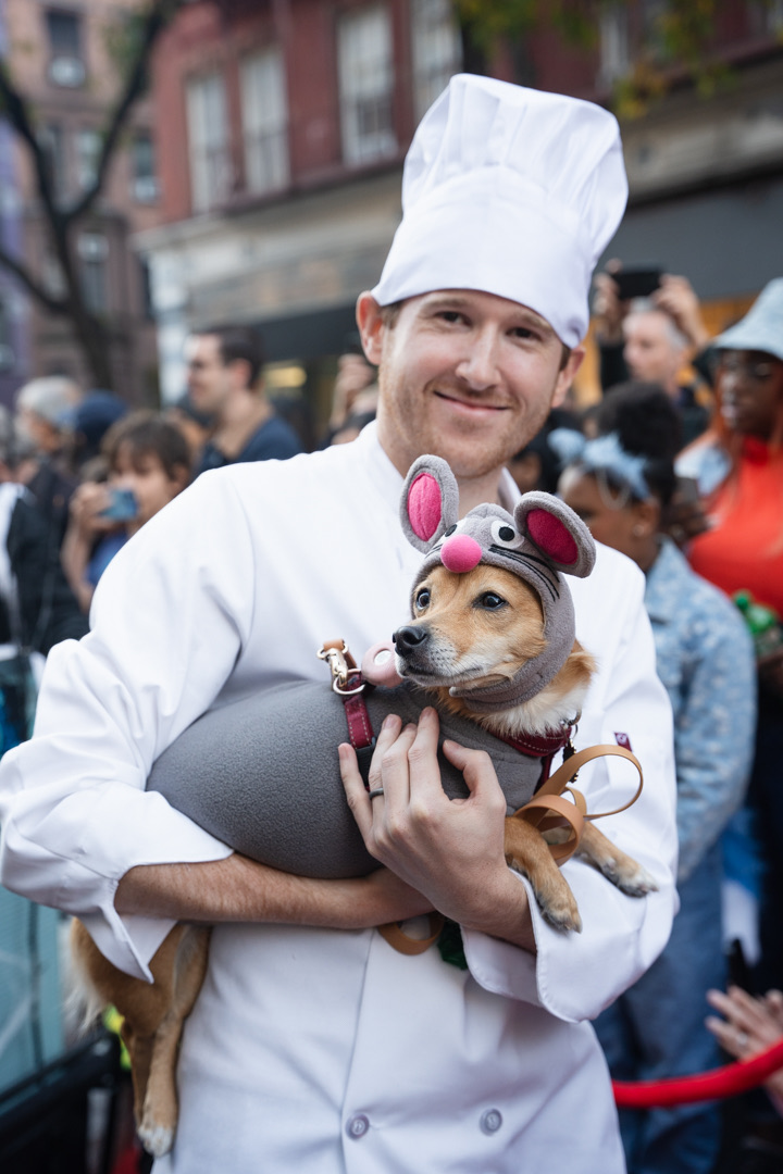 A dog dressed as Ratatouille at the Tompkins Square Dog Parade.