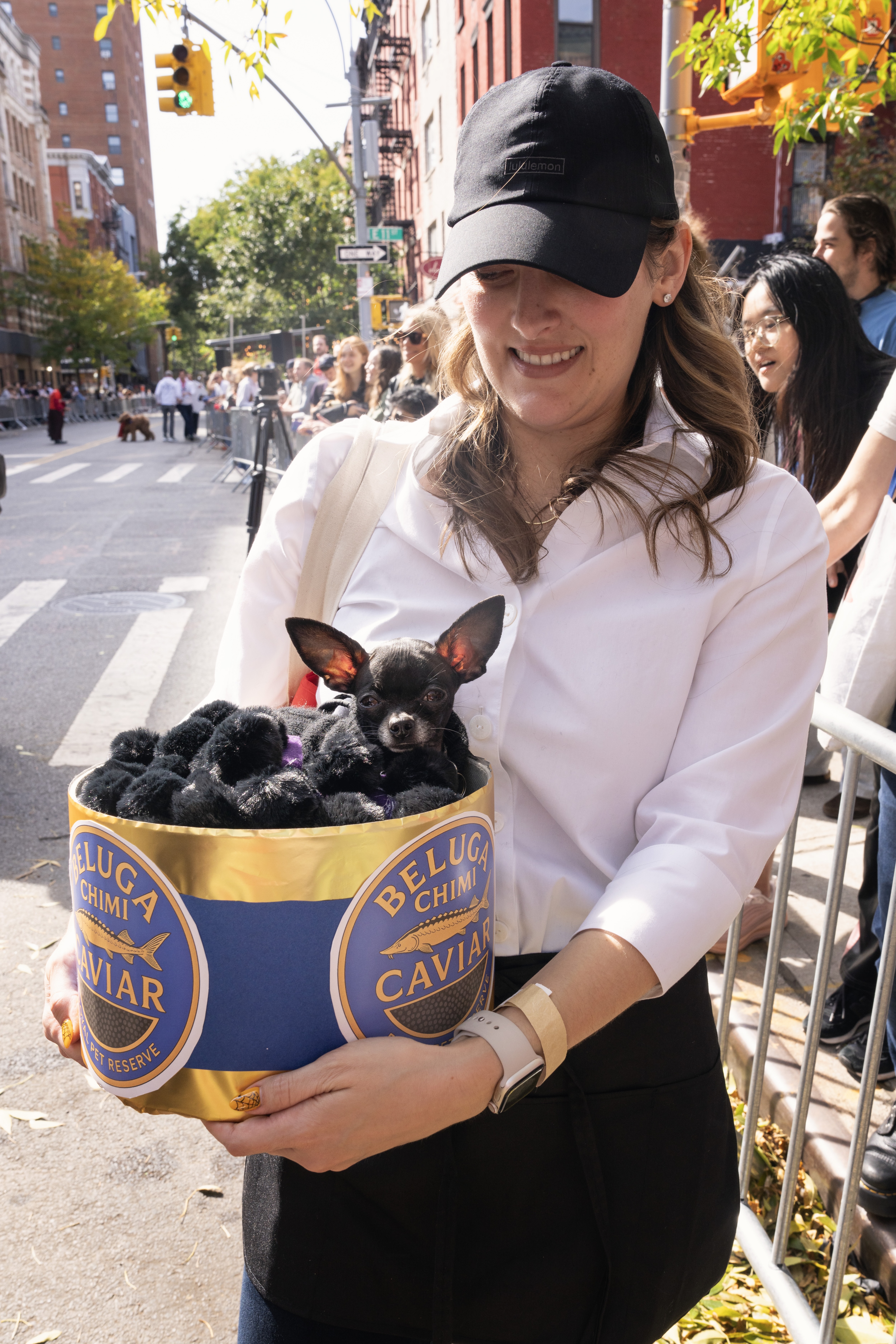 What the dogs wore to the 35th Tompkins Square Halloween Dog Parade 5 A chihuahua dressed as caviar.