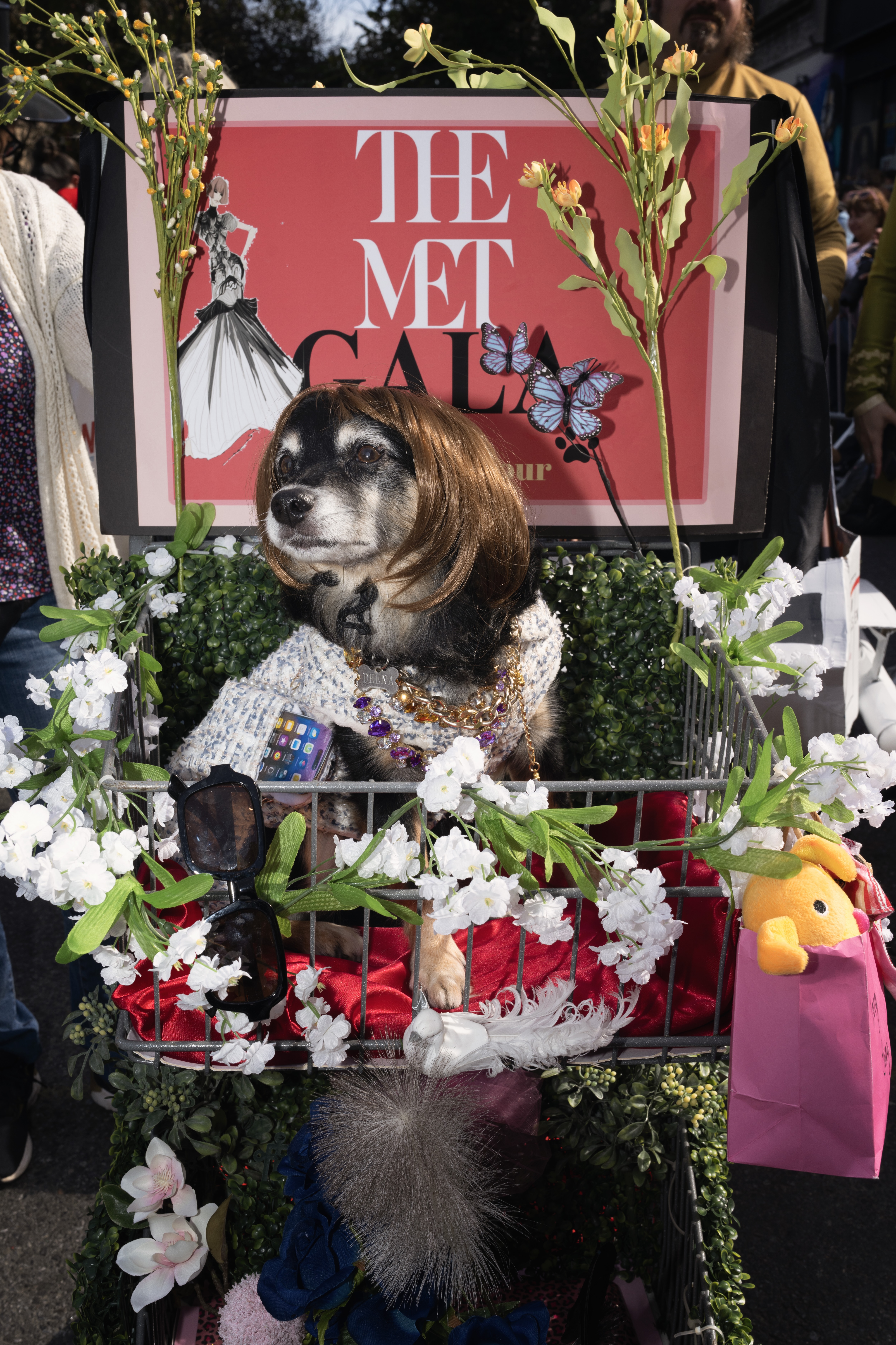 What the dogs wore to the 35th Tompkins Square Halloween Dog Parade 7 This dog is ready for the Met Gala.